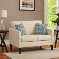 Amazon Basics Loveseat