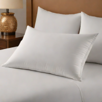 Amazon Basics Microfiber Down Alternative Compact Pillow