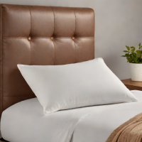 Amazon Basics Microfiber Pillow