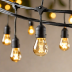 Amazon Basics Outdoor String Lights