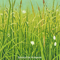 Between the Tall Grass