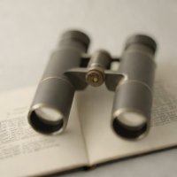 Binocular Vision by Sven Lindqvist