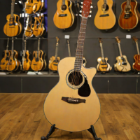 Breedlove Premier