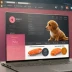 Blue Buffalo Wilderness Salmon (Puppy)