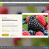 Berries Mix (Mixed Wild Berries)