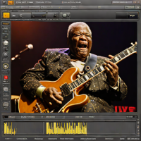 B.B. King - Live at Windsor