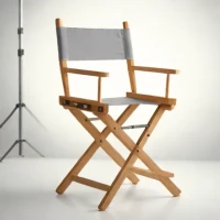 Budget-Friendly Folding Director's Chair