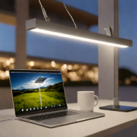 Battery-Powered LED Path Lights (Rechargeable)