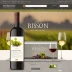 Bisson Puligny-Montrachet