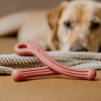 Benebone Wishbone Dog Chew