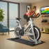 Bosu Trainer Bike