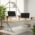 Branch Standing Desk Pro