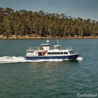 Bass Island Ferry (Curtis Island)