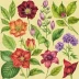 Botanical Illustration in Watercolor (by Eleanor Wunderlich)