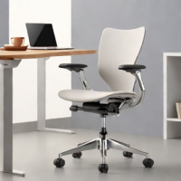 Branch Office Chair