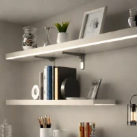 BESTA Under-Shelf Bracket (LED Strip Mount)