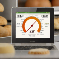 Bread Baking Thermometer (Digital)