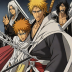 Bleach: Thousand-Year Blood War - The Separation