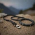 Black Diamond Hitch Trail Dog Leash
