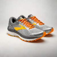 Brooks Trace 2