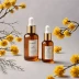 By Wishtrend Polyphenols in Propolis 15% Ampoule