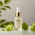 Beauty of Joseon Light On Serum: Centella + Vita