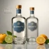 Bobby's Schiedam Dry Gin