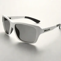Bolle Lightshifter