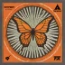 Butterfly Tenergy 64 FX