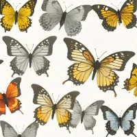 Butterfly Dignics 64