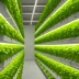 Bowery Farming