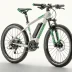Bianchi e-Vertic