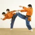 Butterfly Kick (Wushu)