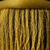 Beard Hair of the Prophet Muhammad (Topkapi)