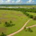 Berbice Savanna