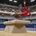 Biles Vault (Cheng entry)