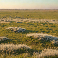 Borzya Steppe (Zabaykalsky Krai)