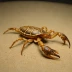 Buthacus leptochelys