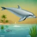 Bolivian River Dolphin