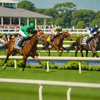 Belmont Derby Invitational