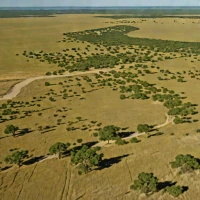 Black Kettle National Grassland