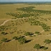 Black Kettle National Grassland