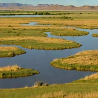 Black Coulee National Wildlife Refuge Prairie