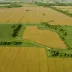 Buena Vista Grassland Prairie