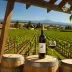 Betz Family Winery