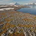 Bjørnøya (Bear Island) Tundra