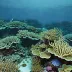 Bligh Water Reef