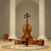 Biber Rosary Sonata No. 5, 'The Finding in the Temple'