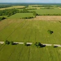 Belmont Prairie State Natural Area