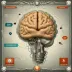 BrainHQ
